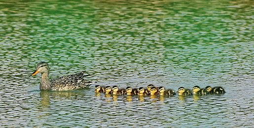 《地狱之刃2》全部战斗场景均以1V1形式呈现